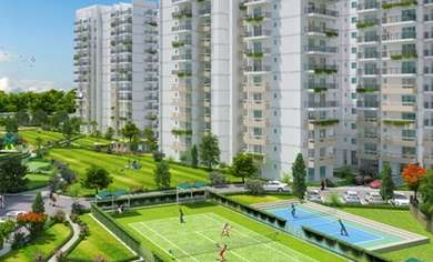 Woodshire